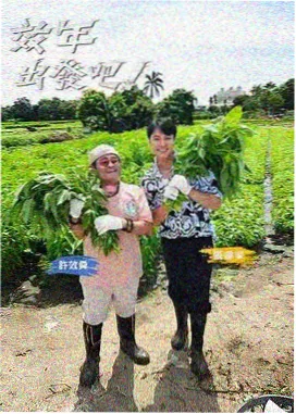 奇特影院旅行慢综 环岛慢直播